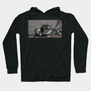 Grab My Paw, Grab My Paw Hoodie